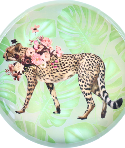 1655 PLATEAUS LOVELY LEO